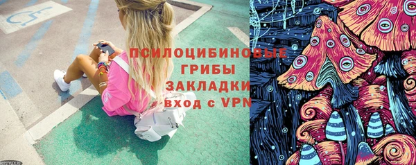 ПСИЛОЦИБИНОВЫЕ ГРИБЫ Армянск