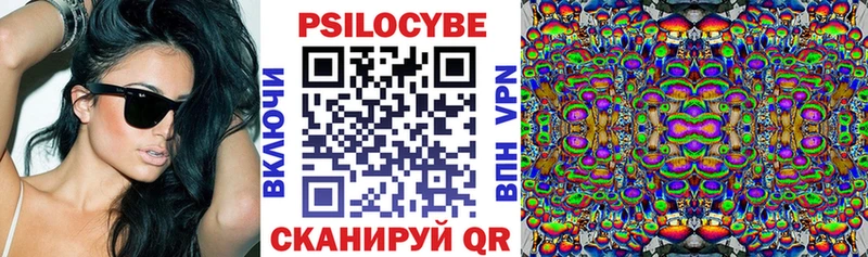 Псилоцибиновые грибы Cubensis  Лермонтов 